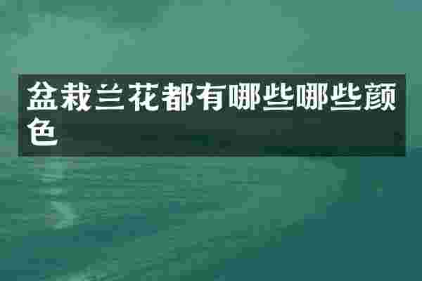 盆栽兰花都有哪些哪些颜色