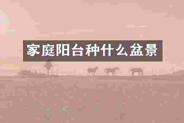 家庭阳台种什么盆景