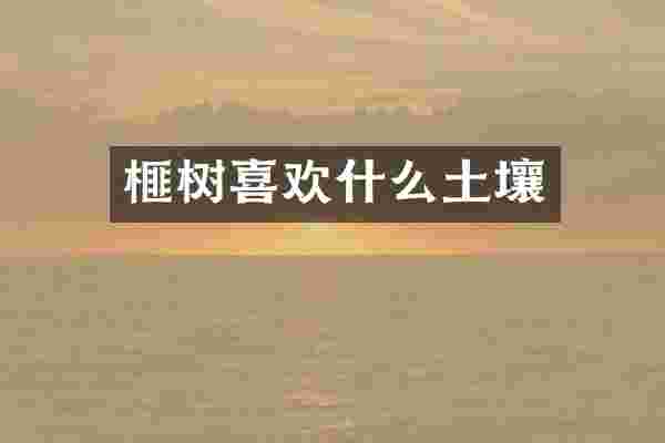 榧树喜欢什么土壤