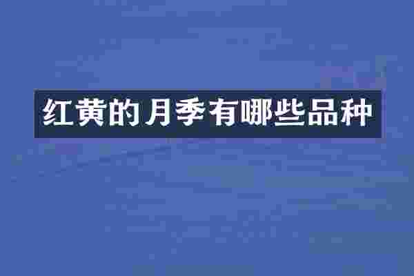 红黄的月季有哪些品种