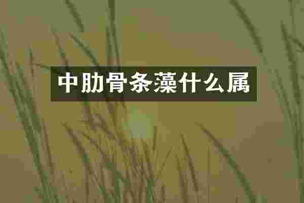 中肋骨条藻什么属