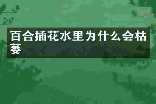 百合插花水里为什么会枯萎