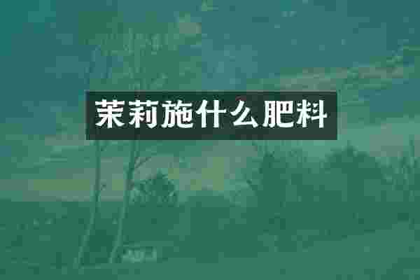 茉莉施什么肥料