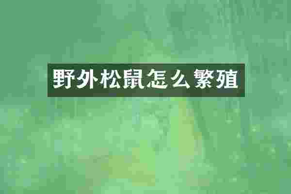 野外松鼠怎么繁殖