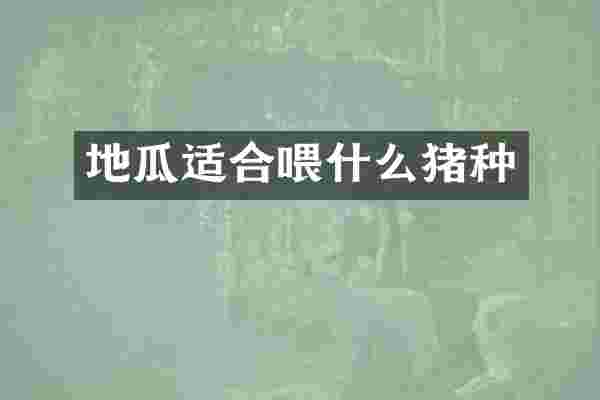 地瓜适合喂什么猪种