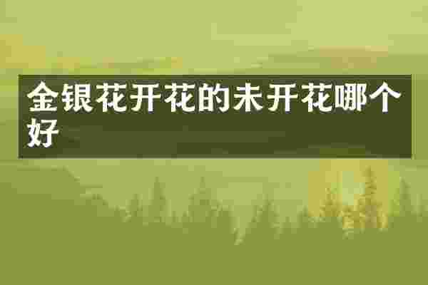 金银花开花的未开花哪个好