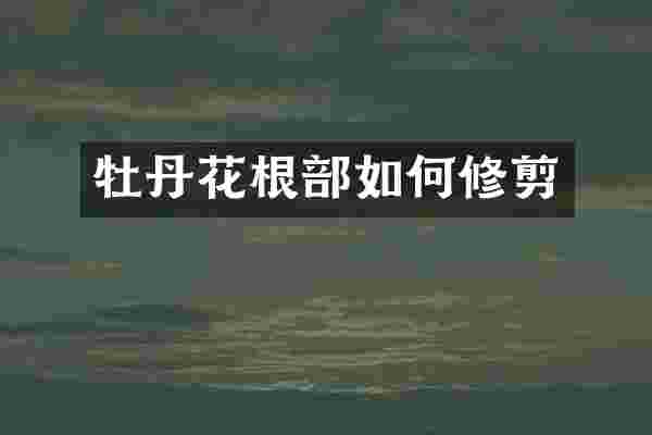 牡丹花根部如何修剪