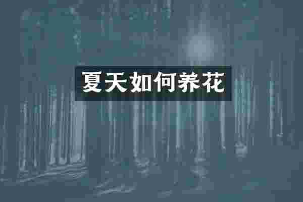 夏天如何养花