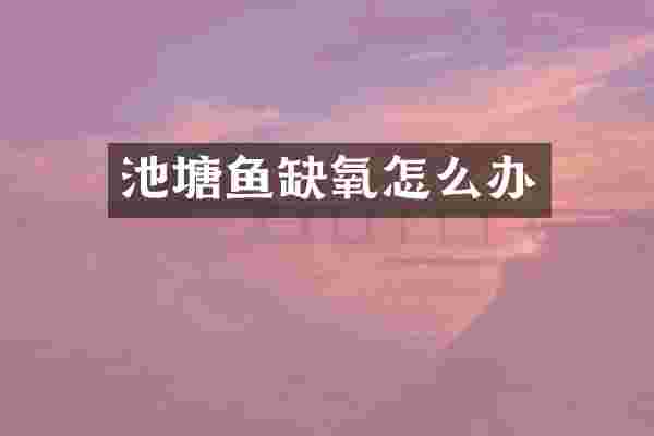 池塘鱼缺氧怎么办