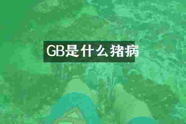 GB是什么猪病