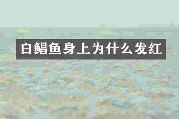 白鲳鱼身上为什么发红