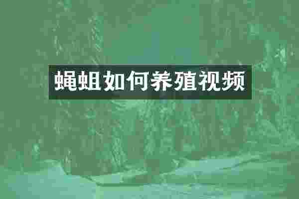 蝇蛆如何养殖视频
