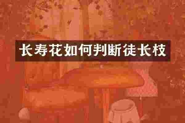 长寿花如何判断徒长枝