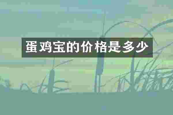 蛋鸡宝的价格是多少