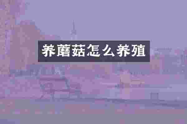 养蘑菇怎么养殖