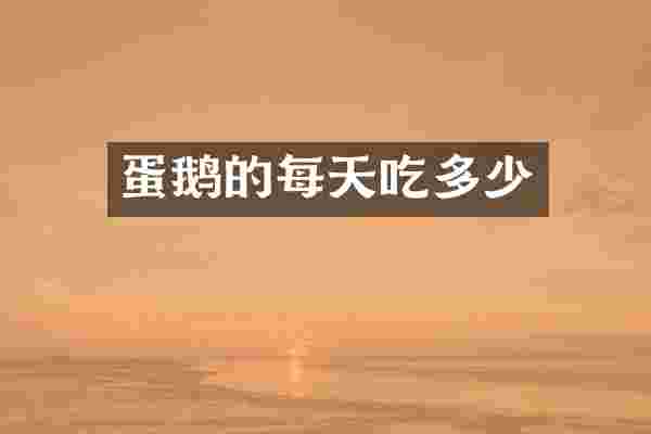 蛋鹅的每天吃多少