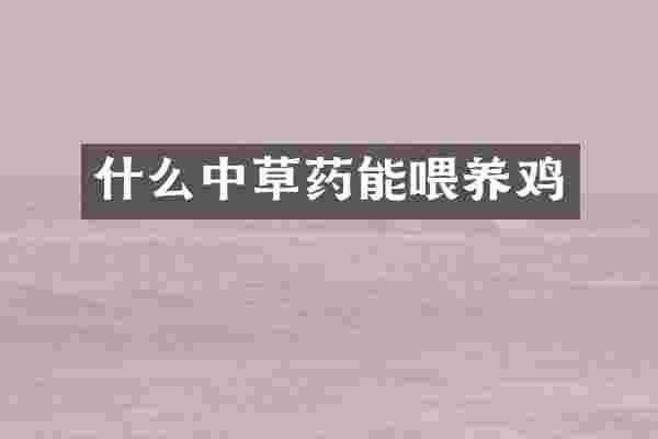 什么中草药能喂养鸡