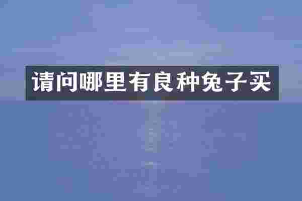 请问哪里有良种兔子买