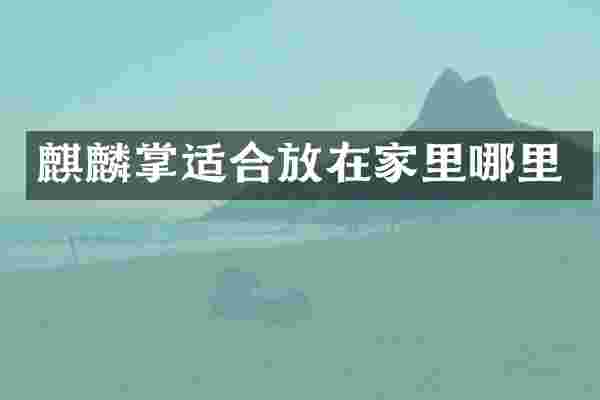 麒麟掌适合放在家里哪里