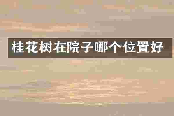 桂花树在院子哪个位置好