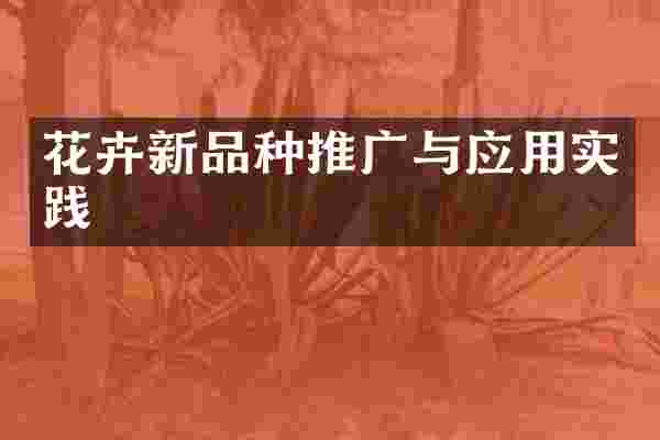 花卉新品种推广与应用实践