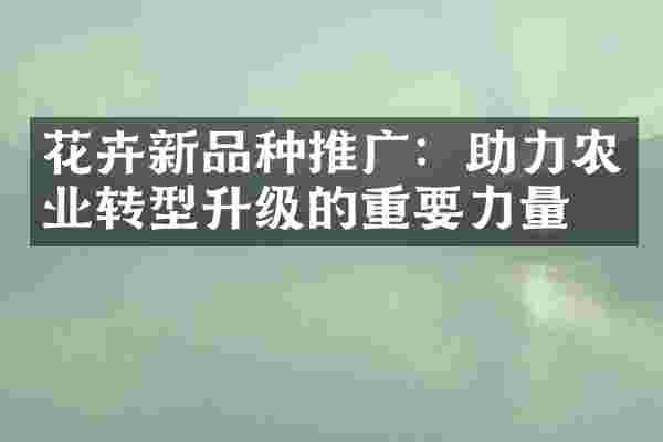 花卉新品种推广：助力农业转型升级的重要力量