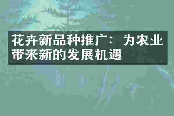 花卉新品种推广：为农业带来新的发展机遇