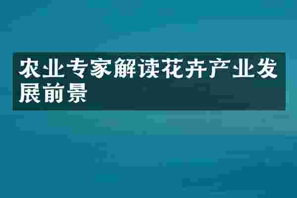农业专家解读花卉产业发展前景