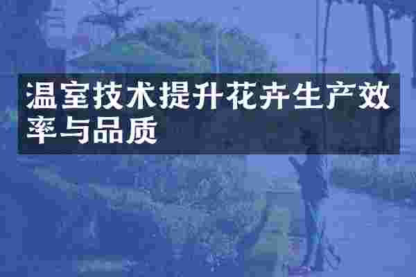 温室技术提升花卉生产效率与品质