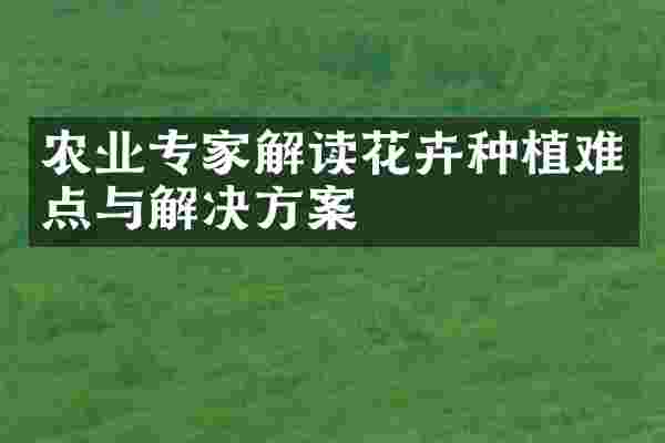 农业专家解读花卉种植难点与解决方案