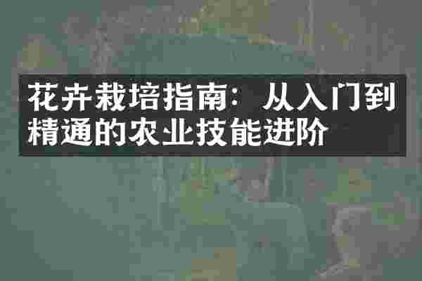 花卉栽培指南：从入门到精通的农业技能进阶