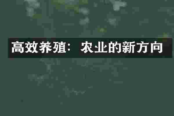 高效养殖：农业的新方向