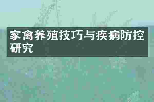 家禽养殖技巧与疾病防控研究