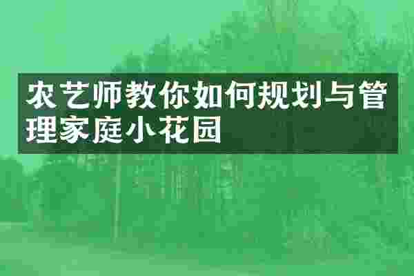 农艺师教你如何规划与管理家庭小花园