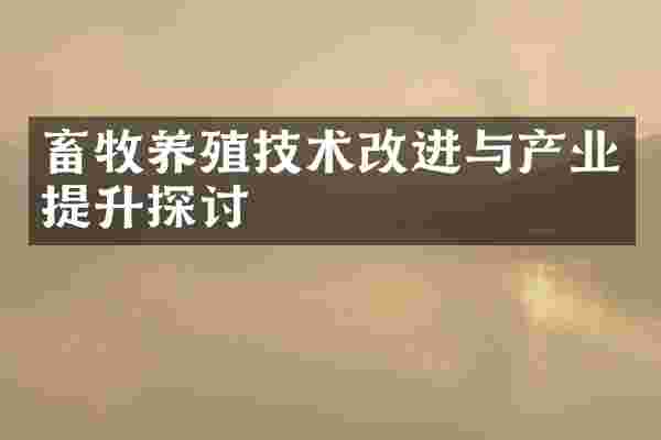 畜牧养殖技术改进与产业提升探讨
