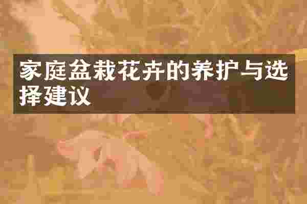 家庭盆栽花卉的养护与选择建议