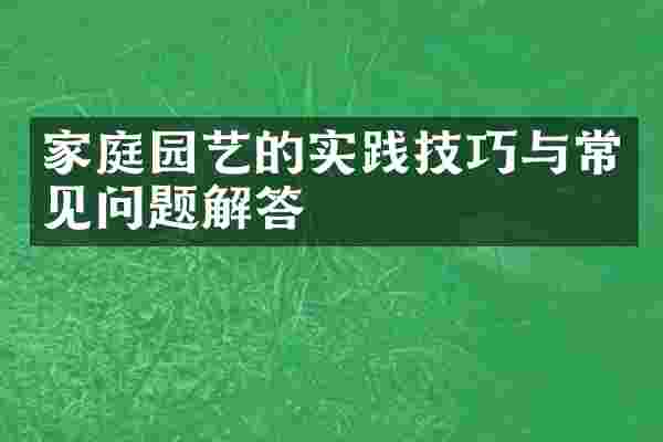 家庭园艺的实践技巧与常见问题解答