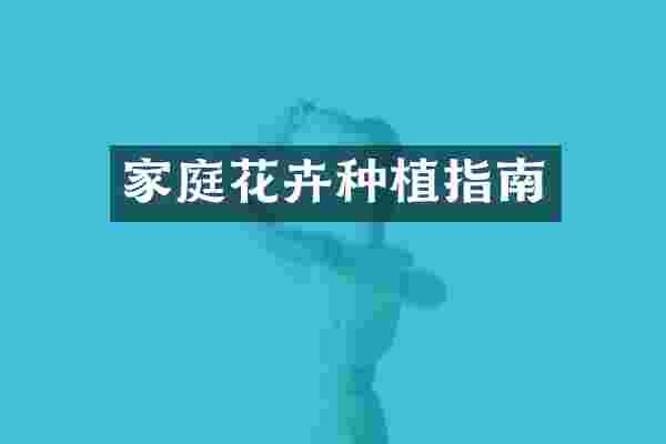 家庭花卉种植指南