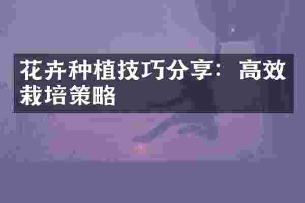花卉种植技巧分享：高效栽培策略