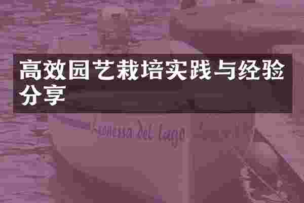 高效园艺栽培实践与经验分享