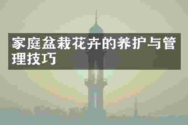家庭盆栽花卉的养护与管理技巧
