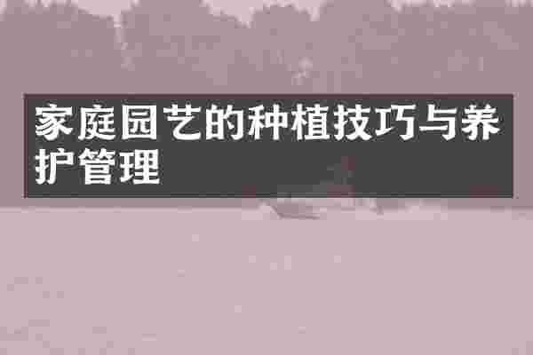 家庭园艺的种植技巧与养护管理