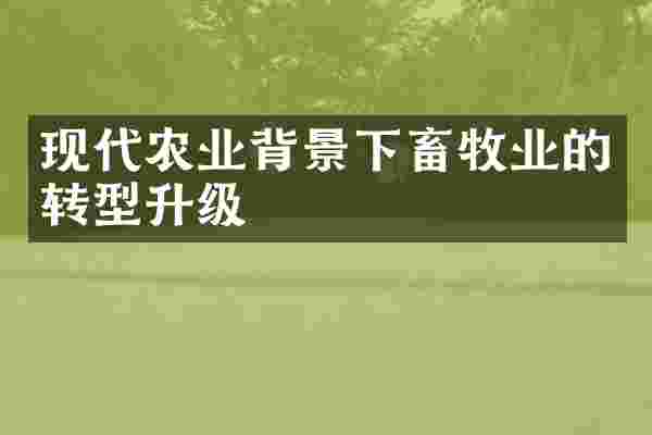 现代农业背景下畜牧业的转型升级