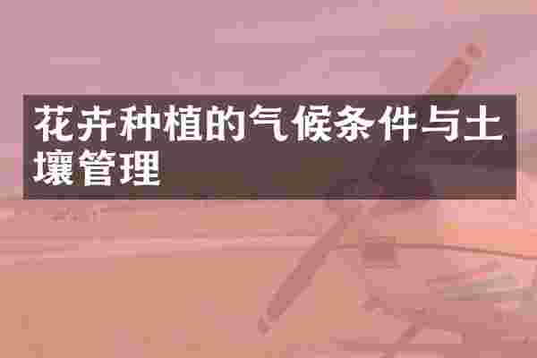 花卉种植的气候条件与土壤管理