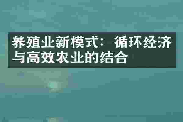 养殖业新模式：循环经济与高效农业的结合