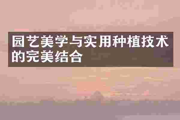 园艺美学与实用种植技术的完美结合