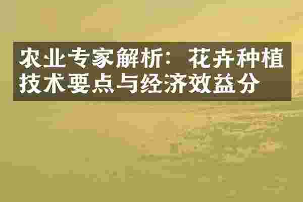 农业专家解析：花卉种植技术要点与经济效益分析