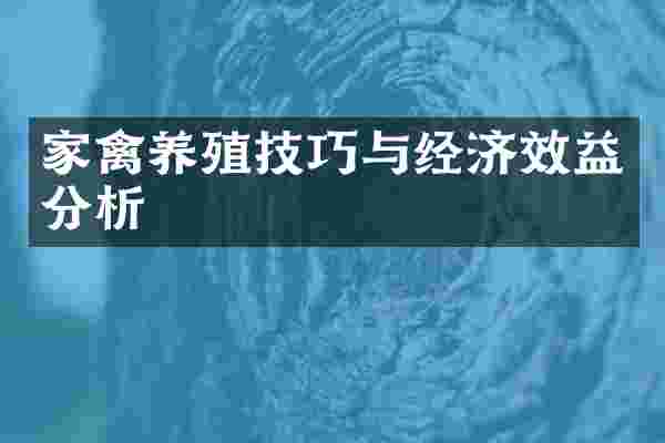 家禽养殖技巧与经济效益分析