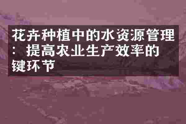花卉种植中的水资源管理：提高农业生产效率的关键环节