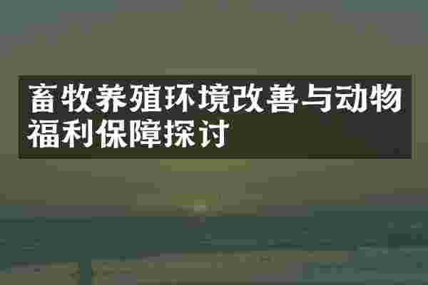 畜牧养殖环境改善与动物福利保障探讨